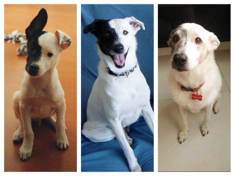 June 2001 - June 2013