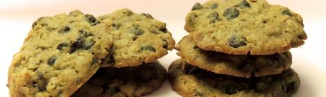oatmeal chocolate and raisin cookies